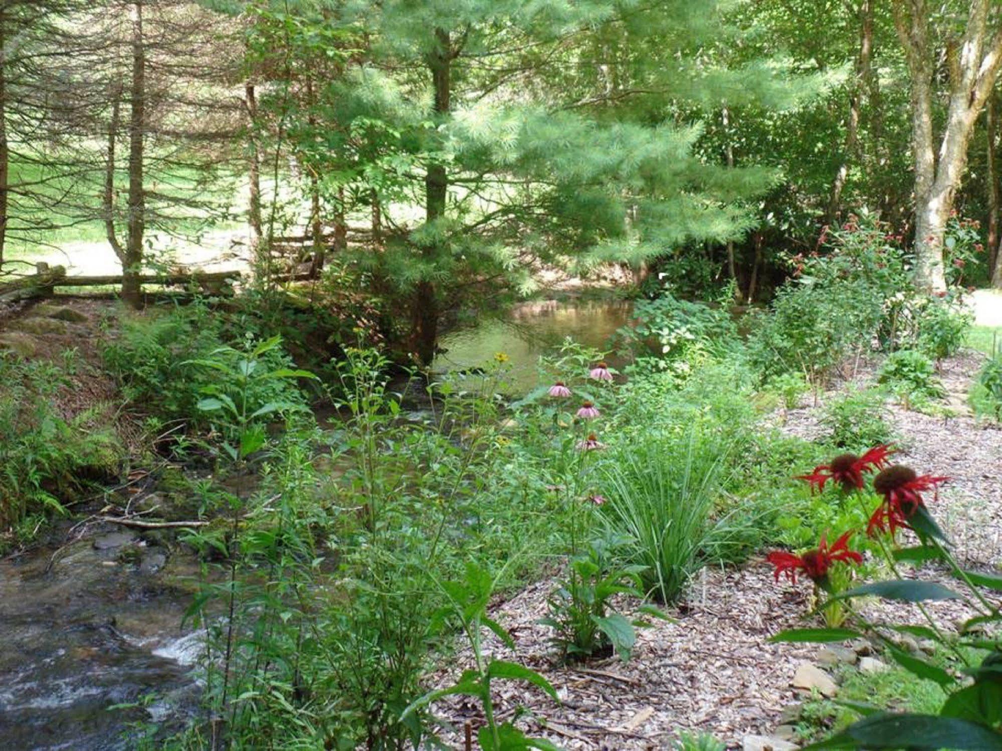 Creekside Paradise Robbinsville