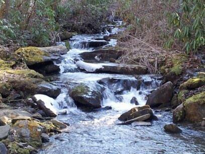 Creekside Paradise Bed & Breakfast Robbinsville